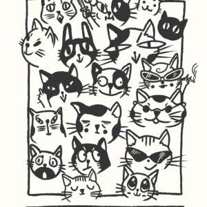 N221 Niedzielny Klub Kocimiętki